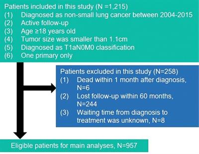 A long waiting time from diagnosis to treatment decreases the survival of non-small cell lung cancer patients with stage IA1: A retrospective study